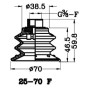 25-70T(F)